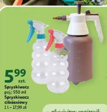 Auchan Gardenstar spryskiwacz 550ml/spryskiwacz ciśnieniowy 1l oferta