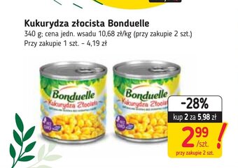 Stokrotka Kukurydza złocista Bonduelle 340g oferta