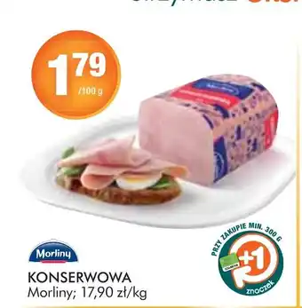 Stokrotka Konserwowa Morliny 100g oferta
