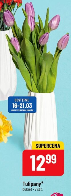 Polomarket Tulipany 7szt. oferta