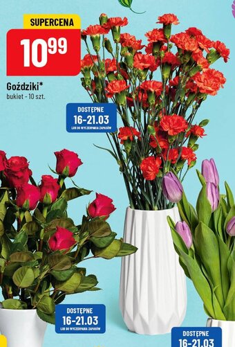 Polomarket Goździki 10szt. oferta