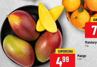 Polomarket Mango 1szt. oferta