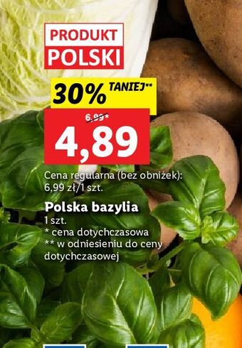 Lidl Bazylia oferta