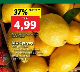Lidl Cytryny bio oferta
