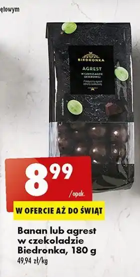 Biedronka Agrest w czekoladzie biedronka oferta