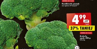 Biedronka Brokuł oferta