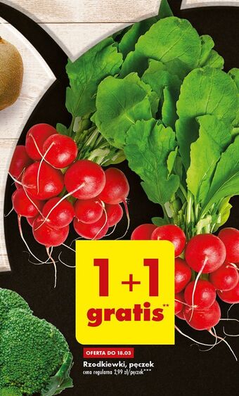 Biedronka Rzodkiewka oferta