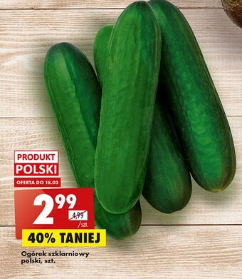 Biedronka Ogórek szklarniowy oferta