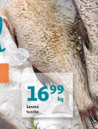Leszcz tusza