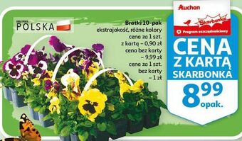 Auchan Bratki oferta