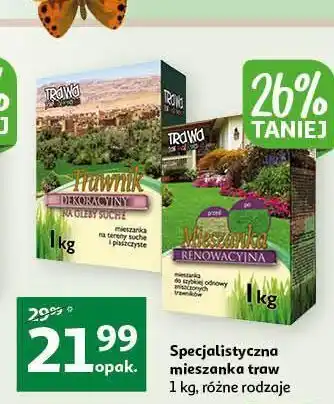 Auchan Trawnik dekoracyjny trawa jak malowana oferta