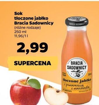 Netto Napój smoothie marchew-pomarańcza bracia sadownicy oferta