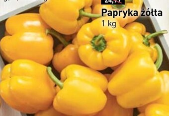 Stokrotka Papryka oferta
