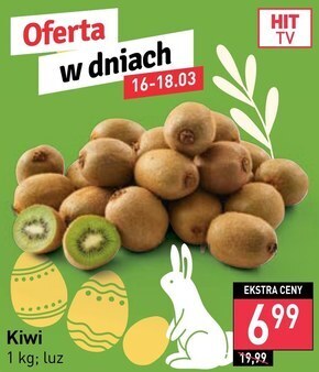 Stokrotka Kiwi oferta