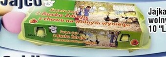 Społem Jaja oferta