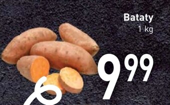 Stokrotka Bataty oferta