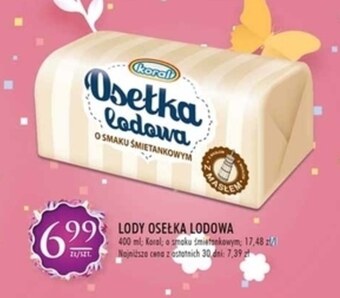 Stokrotka Lody koral oferta