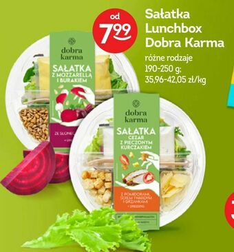 Żabka Sałatka Lunchbox Dobra Karma oferta