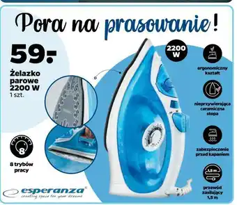 Netto Żelazko parowe 2200 w oferta