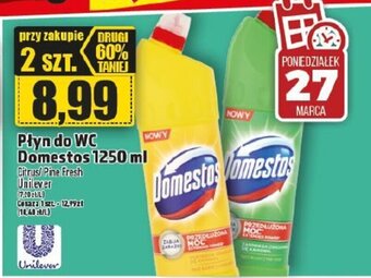 Topaz Unilever płyn do wc domestos 1250ml oferta