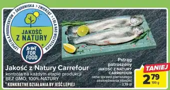 Carrefour Carrefour Pstrąg patroszony 100 g oferta