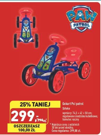 Gokart psi patrol
