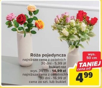 Carrefour Róża pojedyncza oferta