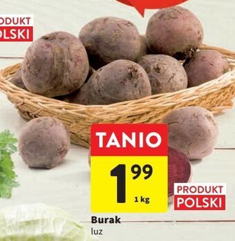 Intermarche Buraki oferta
