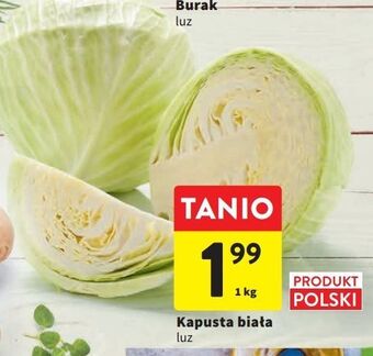 Intermarche Kapusta biała oferta