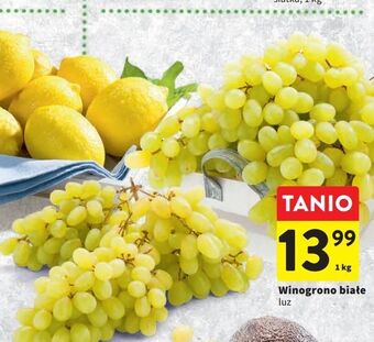 Intermarche Winogrona białe oferta