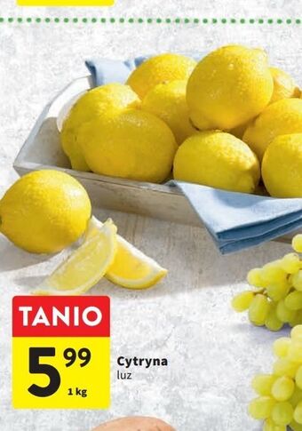 Intermarche Cytryny oferta