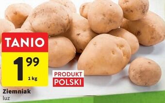 Intermarche Ziemniaki oferta