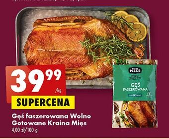 Biedronka Gęś faszerowana kraina mięs oferta
