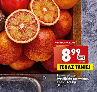 Biedronka Pomarańcze sycylijskie oferta