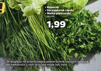 Netto Natka pietruszki oferta