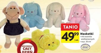 Intermarche Maskotka 30 cm sun-day oferta