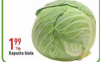 E.Leclerc Kapusta biała oferta