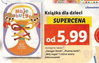 Lidl Książka dla dzieci oferta