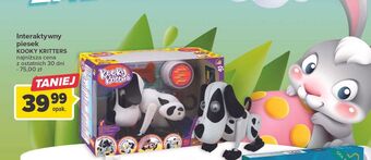 Carrefour Piesek kooky kritters cobi oferta