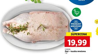 Lidl Gęś tuszka cedrob oferta