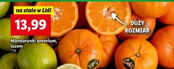 Lidl Mandarynki oferta