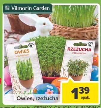 Carrefour Rzeżucha wielkanocna vilmorin garden oferta