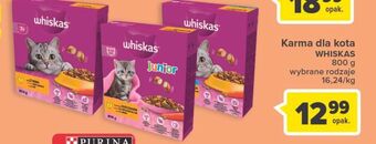 Carrefour Karma dla kota kurczak whiskas junior oferta