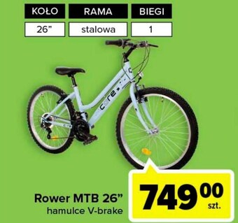 Carrefour Market Rower oferta