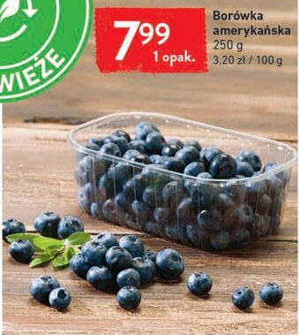 Intermarche Borówka amerykańska oferta