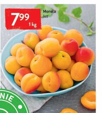 Intermarche Morela 1kg oferta