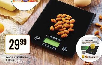 Dino Waga kuchenna esperanza oferta