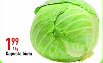 E.Leclerc Kapusta biała 1kg oferta