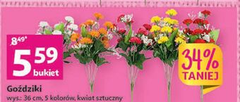 Auchan Gożdziki oferta