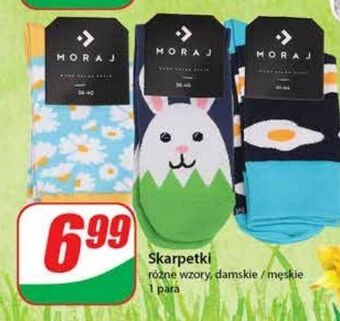 Dino Skarpetki damskie moraj oferta